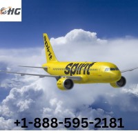 18885952181 Spirit Airlines Reservations Number