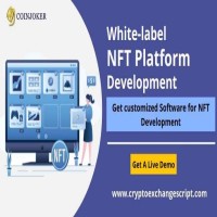 Earn more on White label NFT Marketplace Platform by trading 